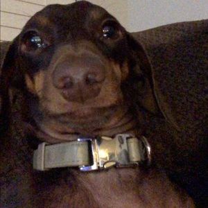 Meet your Posher, Kaylon